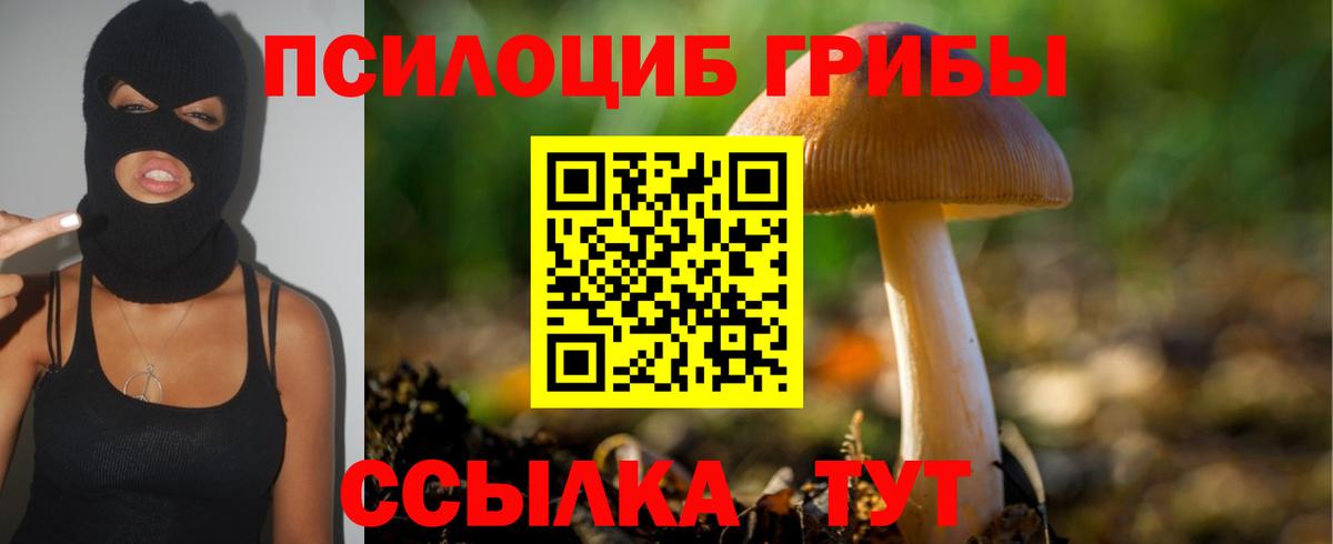 Псилоцибиновые грибы мухоморы  Вход с VPN  Нижнекамск  купить закладку  Галлюциногенные грибы Cubensis 